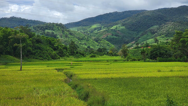 Nông dân xã Đăk Kôi phát huy ứng dụng khoa học – kỹ thuật, nâng cao hiệu quả sản xuất nông nghiệp